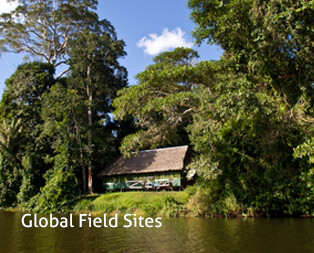 Global Field Sites